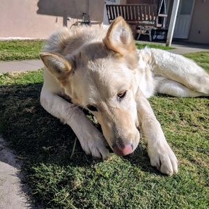 Meet your Posher, Eddie